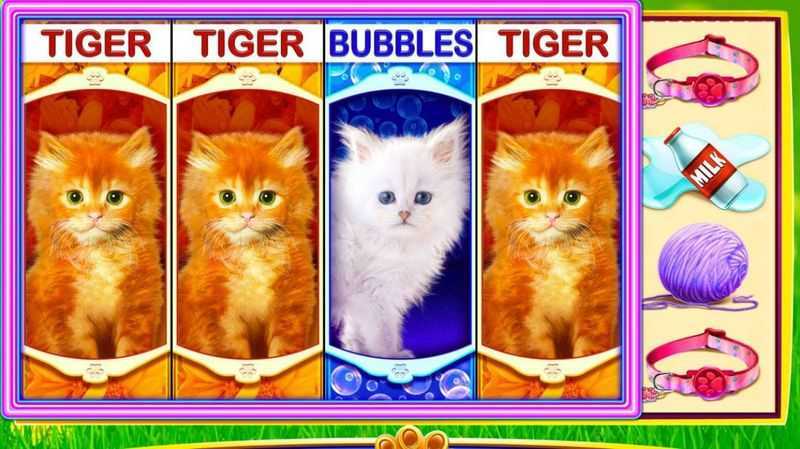 Slot OMG! Kittens