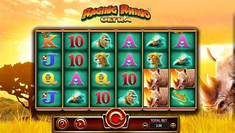 Play Raging Rhino Ultra by Wms