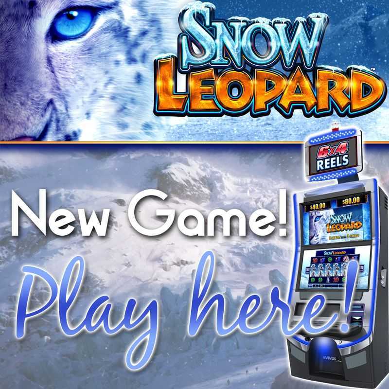 Play Snow Leopard by Wms