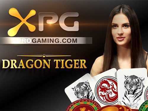 Play Dragon Tiger by Xpg